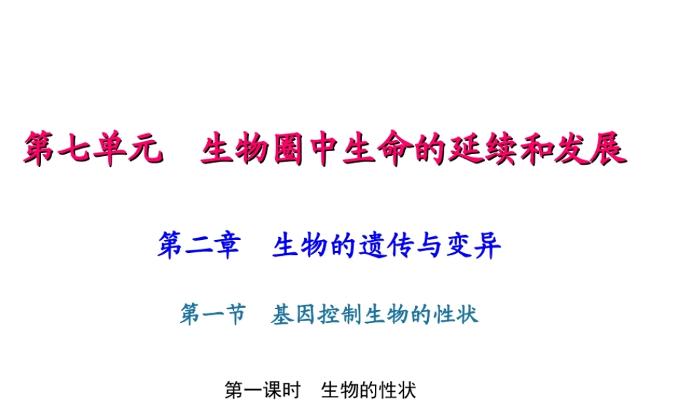 八年级生物下册 7.2.1 基因控制生物的性状（第1课时 生物的性状）课件 （新版）新人教版-（新版）新人教版初中八年级下册生物课件