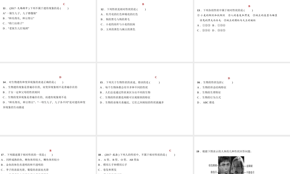 八年级生物下册 7.2.1 基因控制生物的性状（第1课时 生物的性状）课件 （新版）新人教版-（新版）新人教版初中八年级下册生物课件