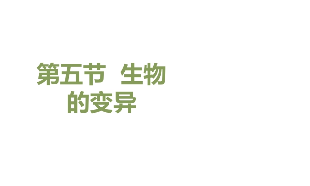 八年级生物下册 7.2.5 生物的变异教学课件 （新版）新人教版-（新版）新人教级下册生物课件