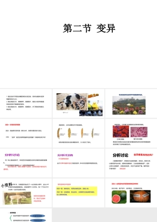 八年级生物下册 6.2.2 变异课件 （新版）冀教版-（新版）冀教版初中八年级下册生物课件