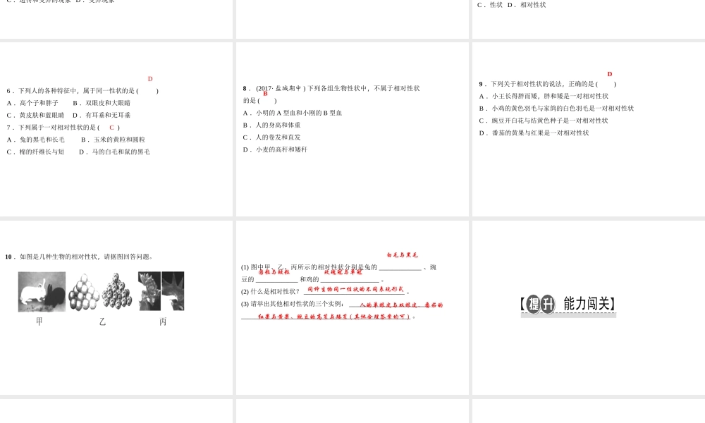 八年级生物下册 7.2.1 基因控制生物的性状（第1课时 生物的性状）课件 （新版）新人教版-（新版）新人教级下册生物课件
