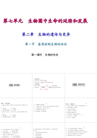 八年级生物下册 7.2.1 基因控制生物的性状（第1课时 生物的性状）课件 （新版）新人教版-（新版）新人教级下册生物课件
