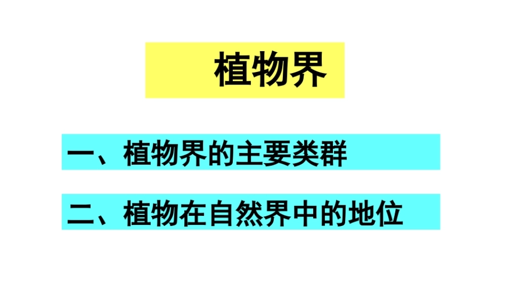 八年级生物下册 14.6 植物界课件 北京课改版