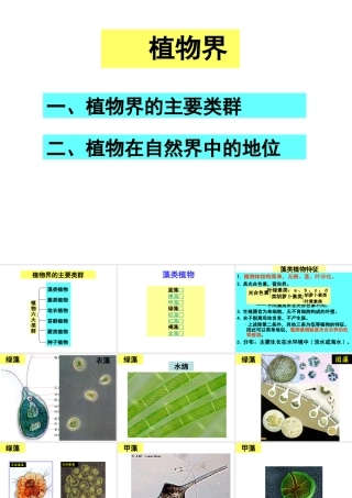 八年级生物下册 14.6 植物界课件 北京课改版