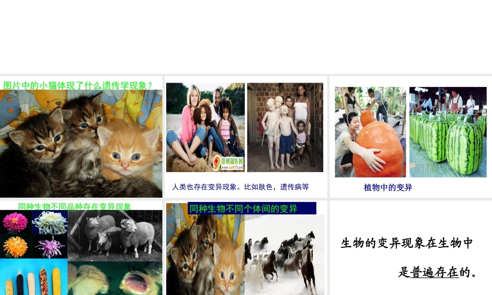 八年级生物下册 7.2.5 生物的变异课件 （新版）新人教版-（新版）新人教版初中八年级下册生物课件