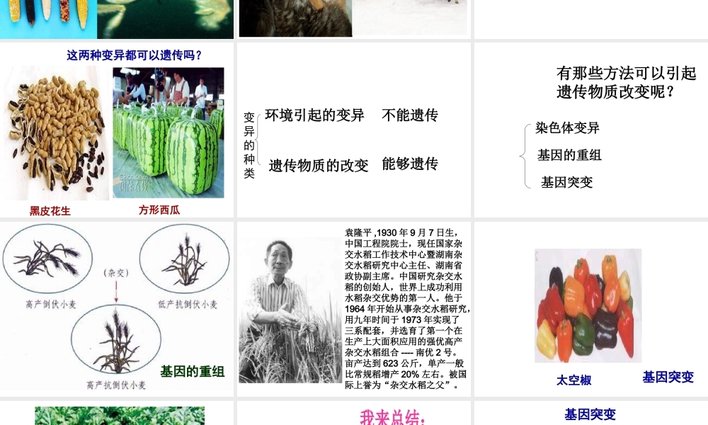 八年级生物下册 7.2.5 生物的变异课件 （新版）新人教版-（新版）新人教版初中八年级下册生物课件