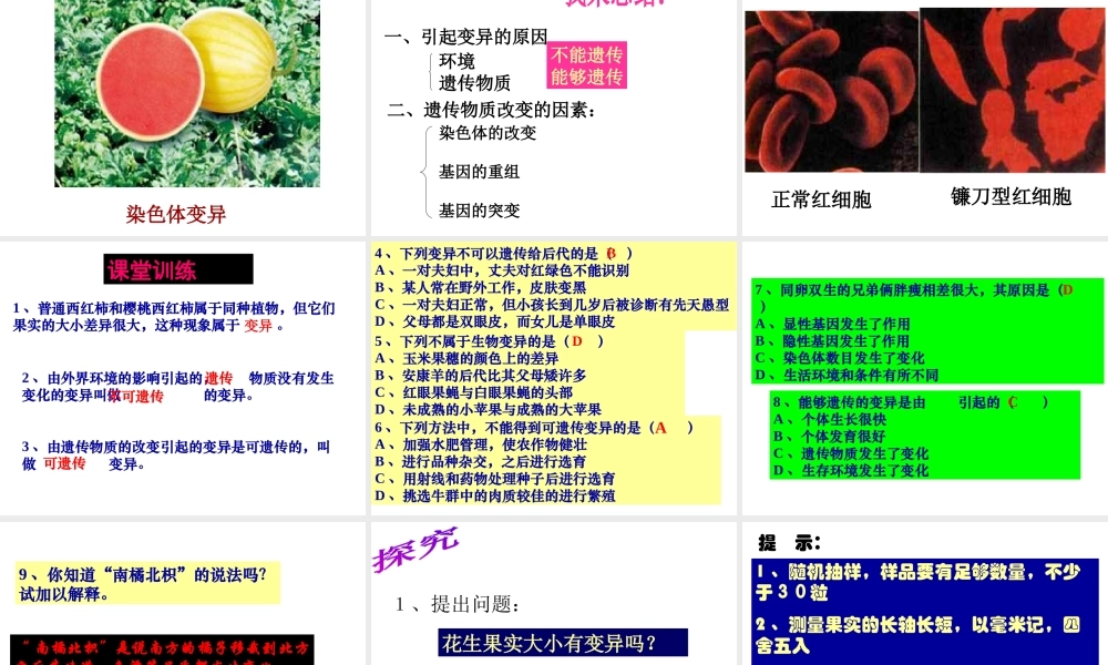 八年级生物下册 7.2.5 生物的变异课件 （新版）新人教版-（新版）新人教版初中八年级下册生物课件