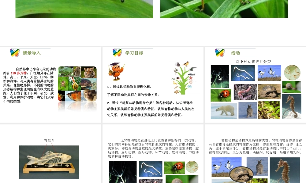 八年级生物下册 22.4《动物的主要类群》课件2 （新版）北师大版-（新版）北师大级下册生物课件