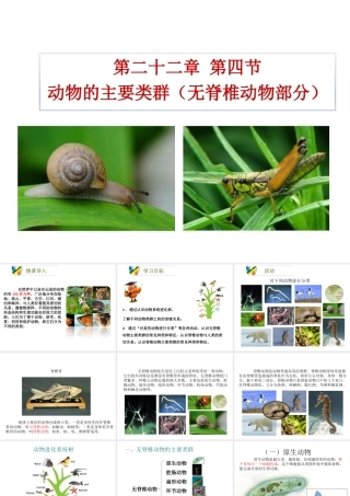 八年级生物下册 22.4《动物的主要类群》课件2 （新版）北师大版-（新版）北师大级下册生物课件