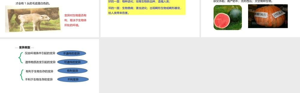 八年级生物下册 6.2.2 变异课件 （新版）冀教版-（新版）冀教级下册生物课件