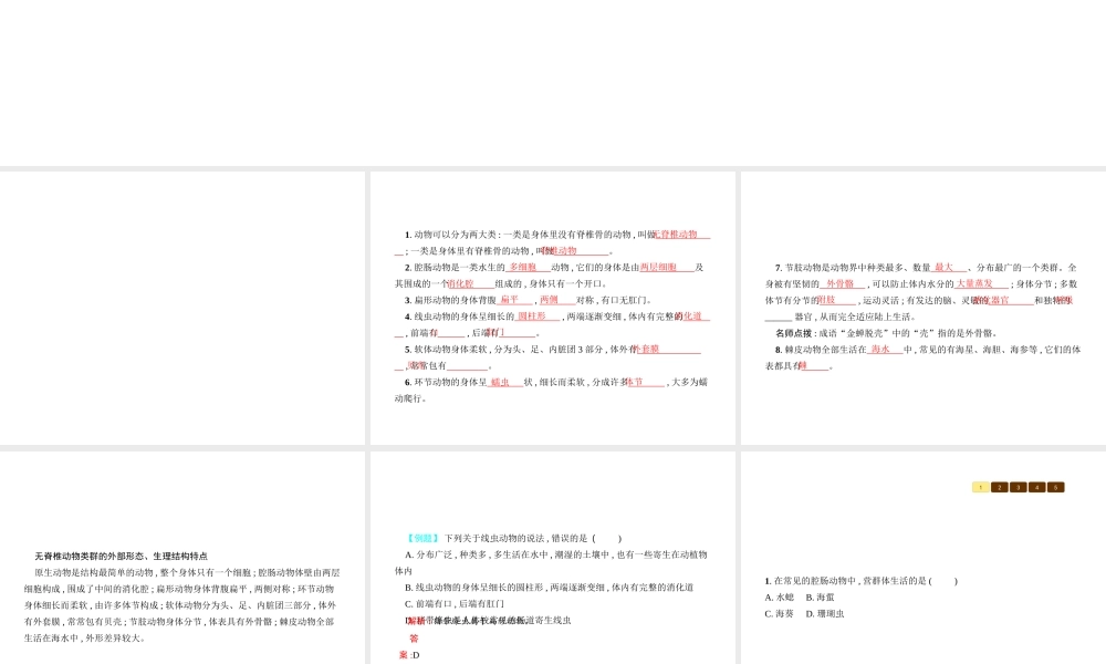八年级生物下册 22.4动物的主要类群课件1 （新版）北师大版-（新版）北师大版初中八年级下册生物课件