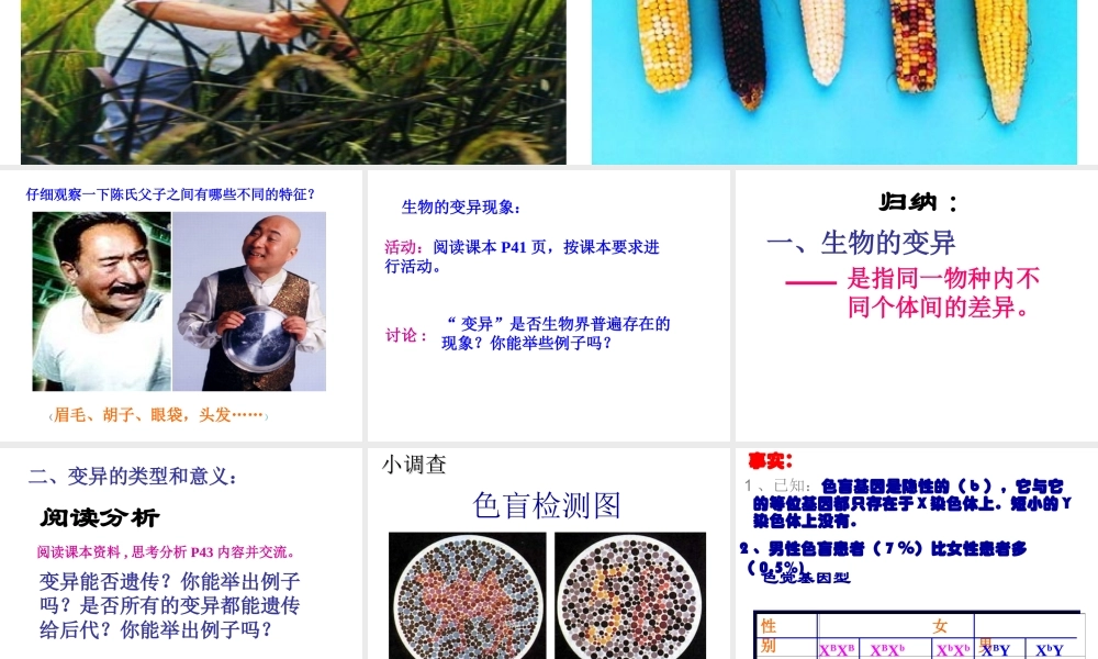 八年级生物下册 6.2.2 变异课件 冀教版-冀教版初中八年级下册生物课件