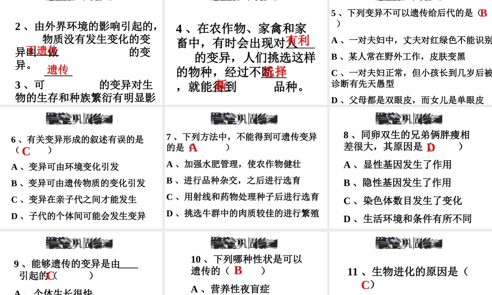 八年级生物下册 6.2.2 变异课件 冀教版-冀教版初中八年级下册生物课件
