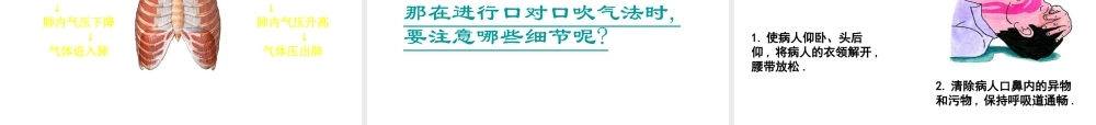 八年级生物下册 8.2 用药和急救课件 新人教版-新人教版初中八年级下册生物课件