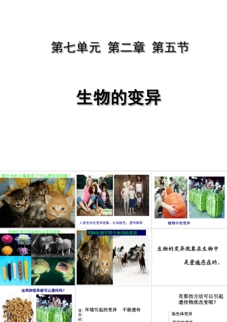 八年级生物下册 7.2.5 生物的变异课件 （新版）新人教版-（新版）新人教级下册生物课件