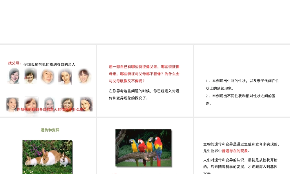 八年级生物下册 7.2.1 基因控制生物的性状（第1课时）教学课件 （新版）新人教版-（新版）新人教版初中八年级下册生物课件