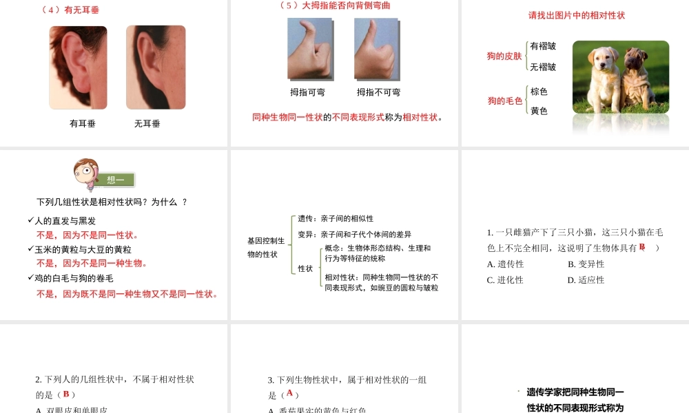 八年级生物下册 7.2.1 基因控制生物的性状（第1课时）教学课件 （新版）新人教版-（新版）新人教版初中八年级下册生物课件