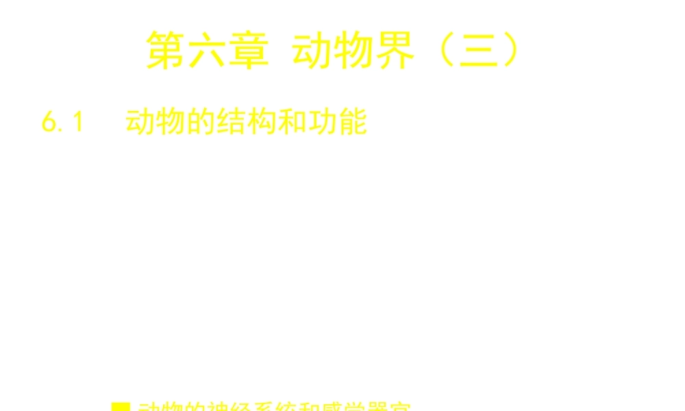 八年级生物下册 14.7 动物界课件2 北京课改版