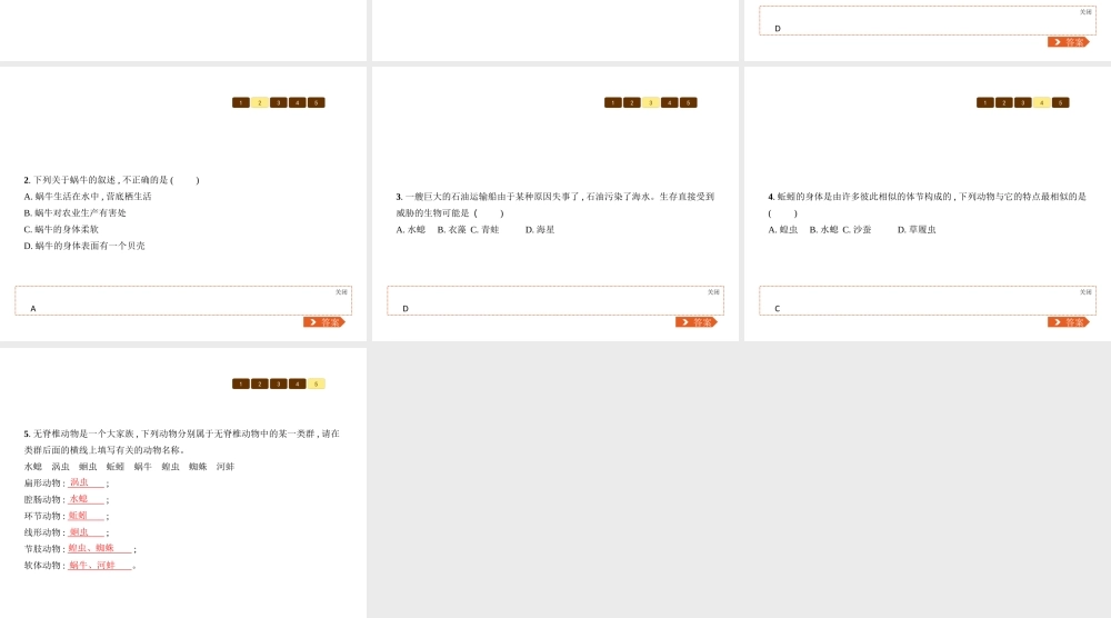 八年级生物下册 22.4动物的主要类群课件1 （新版）北师大版-（新版）北师大级下册生物课件