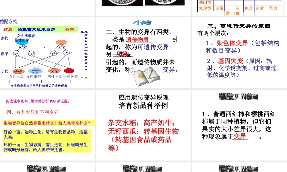 八年级生物下册 6.2.2 变异课件 冀教版-冀教级下册生物课件