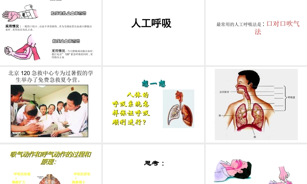 八年级生物下册 8.2 用药和急救课件 新人教版-新人教级下册生物课件