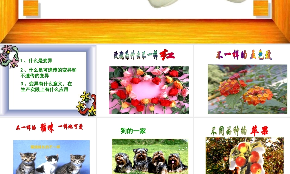 八年级生物下册 7.2.5 生物的变异课件 新人教版-新人教版初中八年级下册生物课件