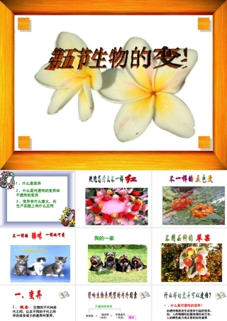 八年级生物下册 7.2.5 生物的变异课件 新人教版-新人教版初中八年级下册生物课件