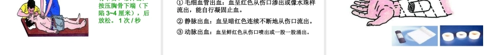 八年级生物下册 8.2 用药和急救课件1 （新版）新人教版