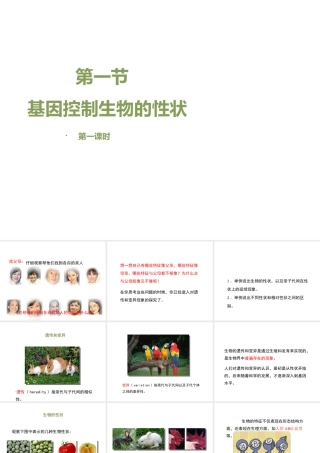 八年级生物下册 7.2.1 基因控制生物的性状（第1课时）教学课件 （新版）新人教版-（新版）新人教级下册生物课件