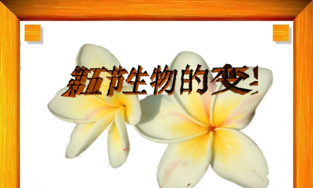 八年级生物下册 7.2.5 生物的变异课件 新人教版-新人教级下册生物课件