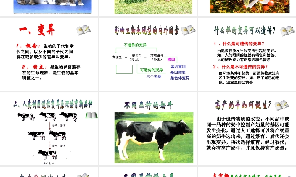 八年级生物下册 7.2.5 生物的变异课件 新人教版-新人教级下册生物课件