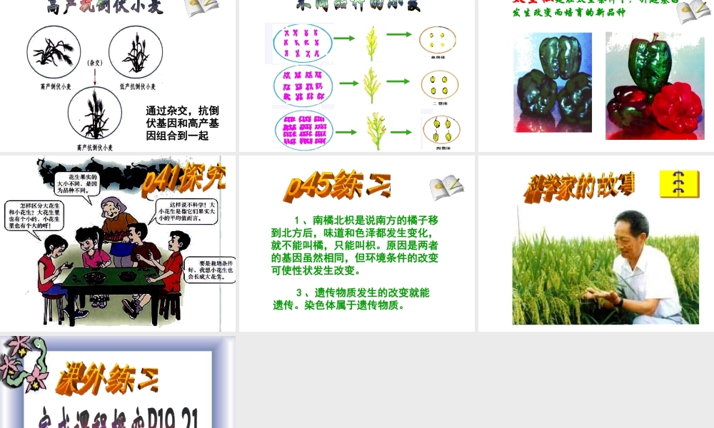 八年级生物下册 7.2.5 生物的变异课件 新人教版-新人教级下册生物课件