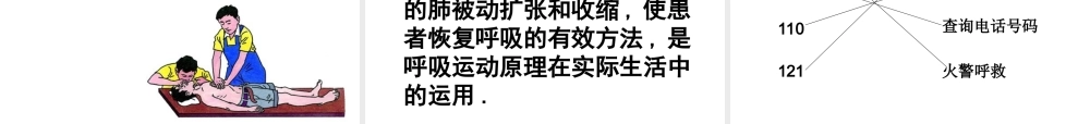 八年级生物下册 8.2 用药和急救课件2 （新版）新人教版