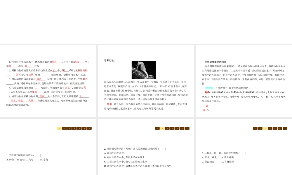 八年级生物下册 22.4动物的主要类群课件2 （新版）北师大版-（新版）北师大级下册生物课件
