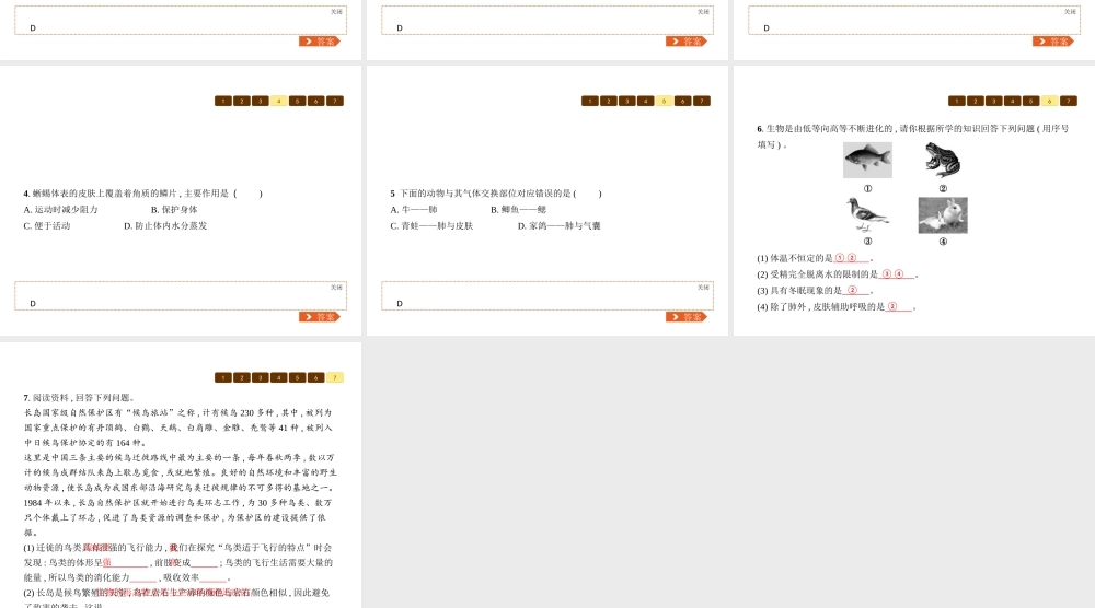 八年级生物下册 22.4动物的主要类群课件2 （新版）北师大版-（新版）北师大级下册生物课件