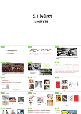 八年级生物下册 15.1 传染病课件 北京课改版-北京课改级下册生物课件