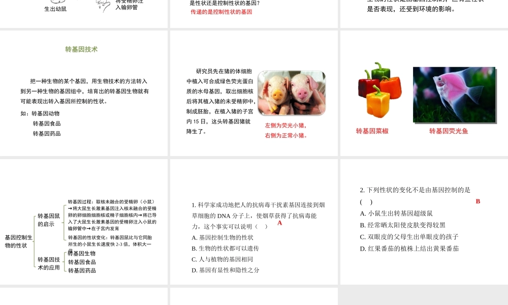 八年级生物下册 7.2.1 基因控制生物的性状（第2课时）教学课件 （新版）新人教版-（新版）新人教版初中八年级下册生物课件