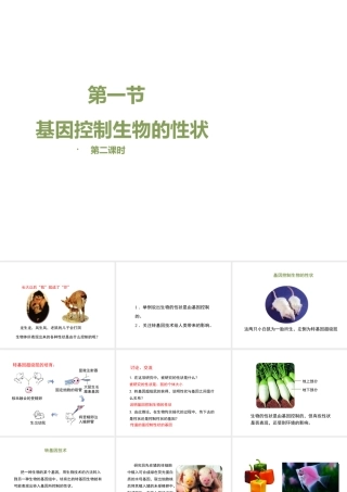 八年级生物下册 7.2.1 基因控制生物的性状（第2课时）教学课件 （新版）新人教版-（新版）新人教版初中八年级下册生物课件