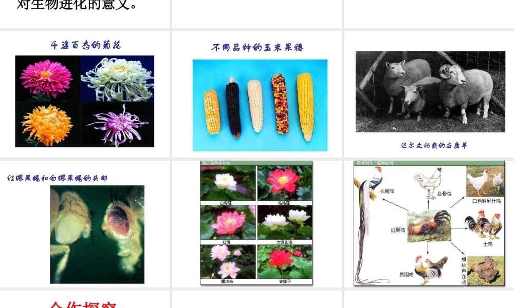 八年级生物下册 22.5 生物的变异课件 （新版）苏教版-（新版）苏教版初中八年级下册生物课件