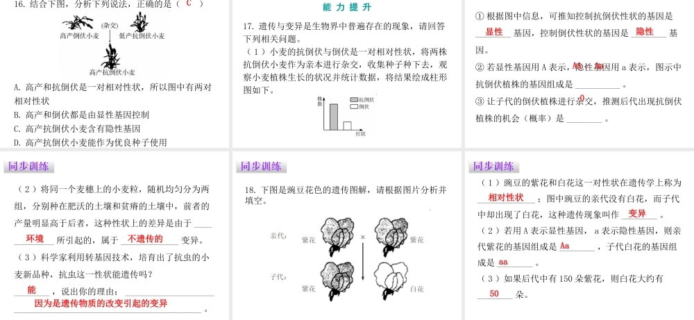 八年级生物下册 7.2.5 生物的变异课件（新版）新人教版-（新版）新人教级下册生物课件