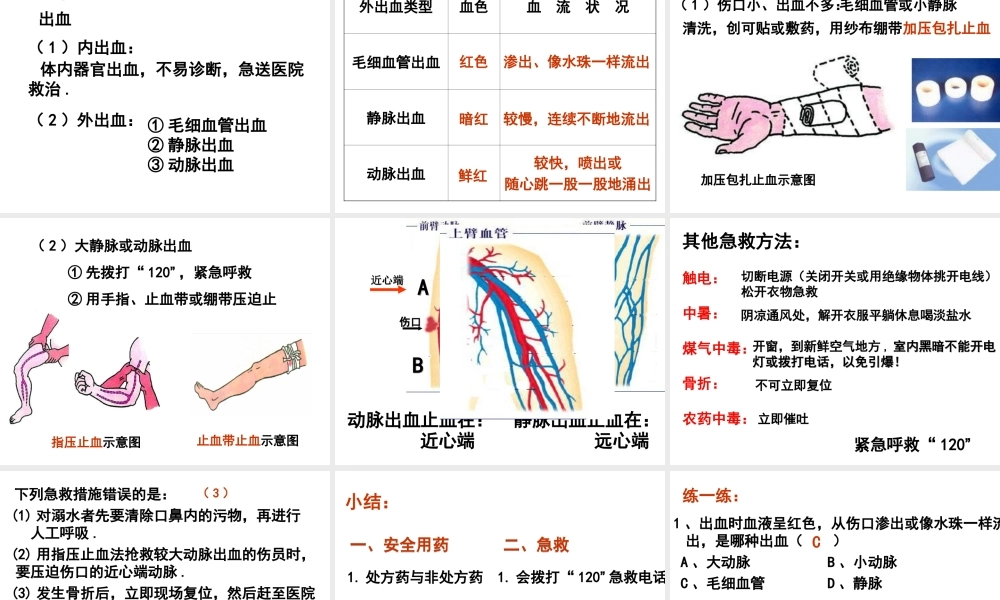 八年级生物下册 8.2 用药和急救课件4 （新版）新人教版