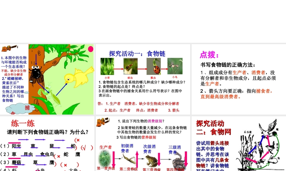 八年级生物下册 6.2.2 食物链课件 （新版）济南版-（新版）济南版初中八年级下册生物课件