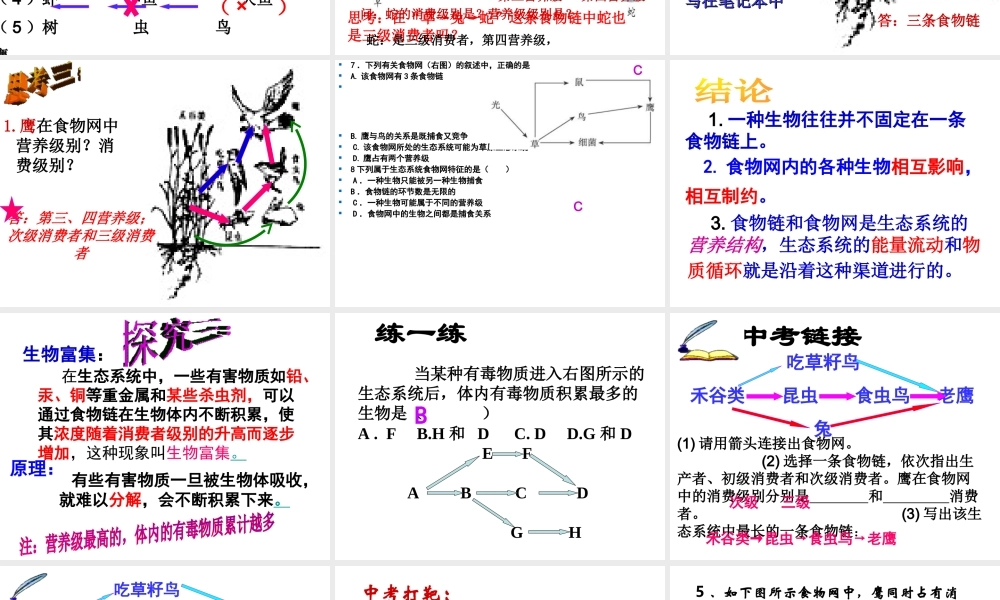 八年级生物下册 6.2.2 食物链课件 （新版）济南版-（新版）济南版初中八年级下册生物课件