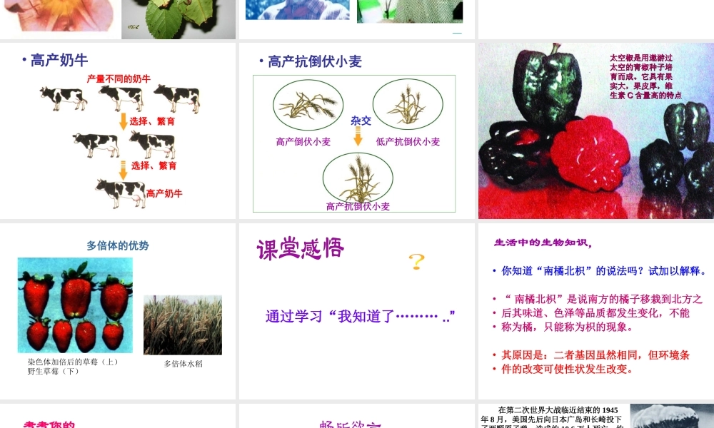 八年级生物下册 7.2.5 生物的变异课件1 （新版）新人教版