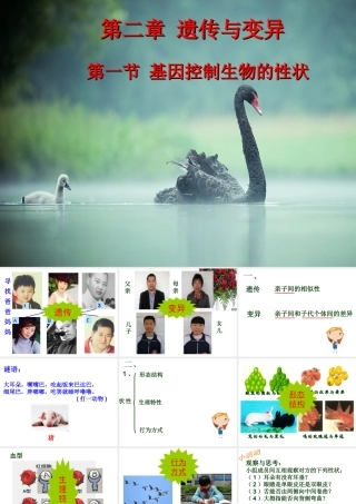 八年级生物下册 7.2.1 基因控制生物的性状教学课件 （新版）新人教版-（新版）新人教版初中八年级下册生物课件