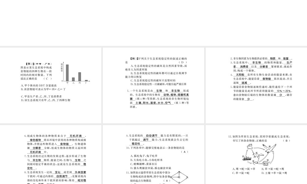八年级生物下册 23 生态系统及其稳定性整理与复习课件 （新版）北师大版-（新版）北师大版初中八年级下册生物课件