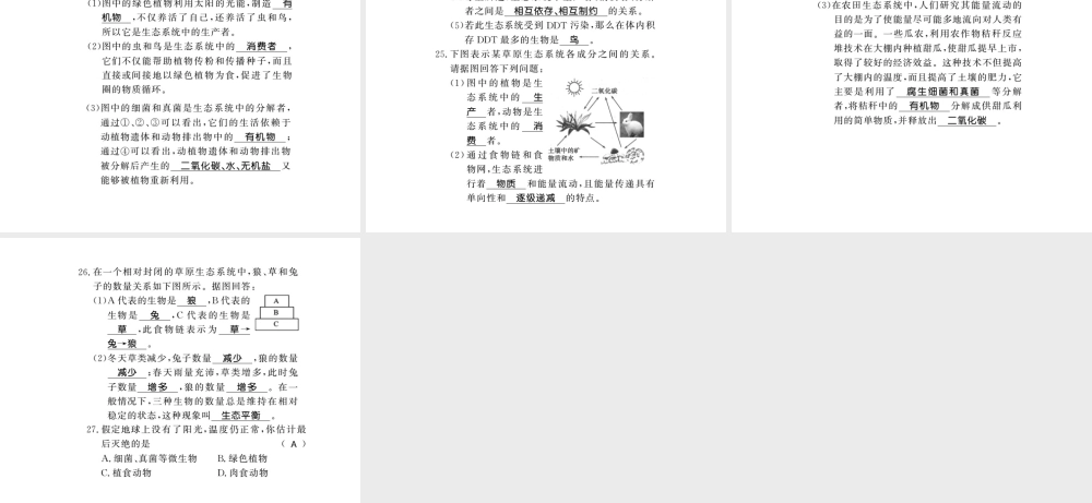 八年级生物下册 23 生态系统及其稳定性整理与复习课件 （新版）北师大版-（新版）北师大版初中八年级下册生物课件