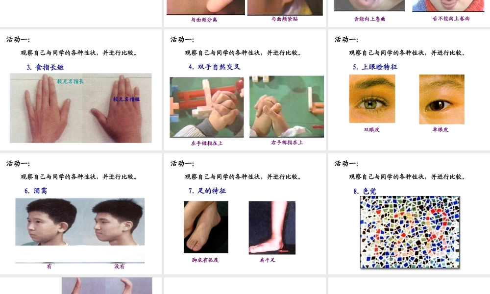 八年级生物下册 7.2.5 生物的变异课件1 新人教版