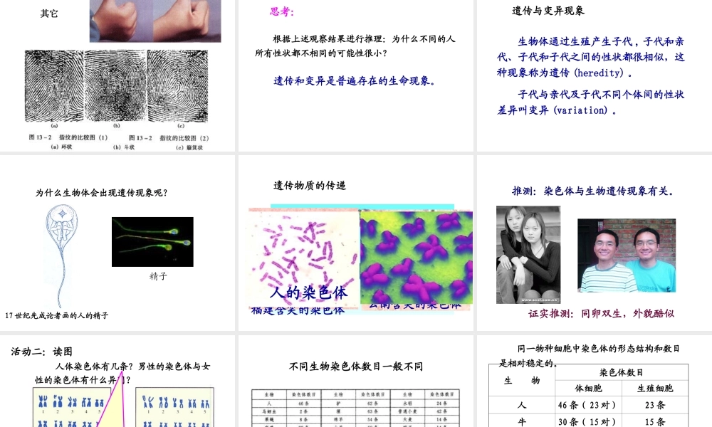 八年级生物下册 7.2.5 生物的变异课件1 新人教版