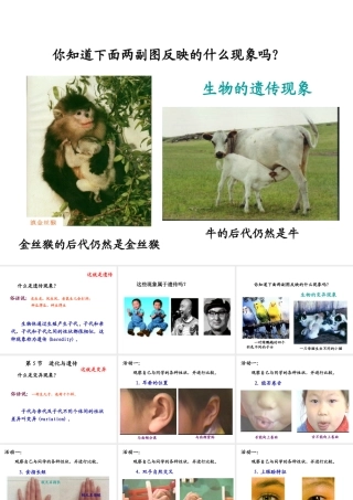 八年级生物下册 7.2.5 生物的变异课件1 新人教版